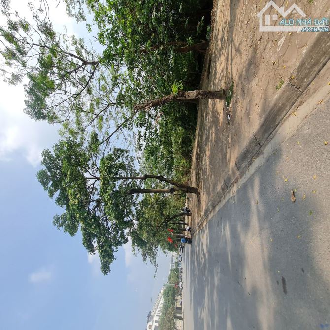 Đấu giá xã Thuận An, Hà Nội. Lô góc 91m2 siêu đẹp, giá đầu tư. Lh - 1