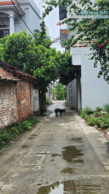 Bán gấp lô đất 65m Đại Mạch ô tô vào đất, 20m ô tô tránh. Chỉ 3.x tỷ - 1