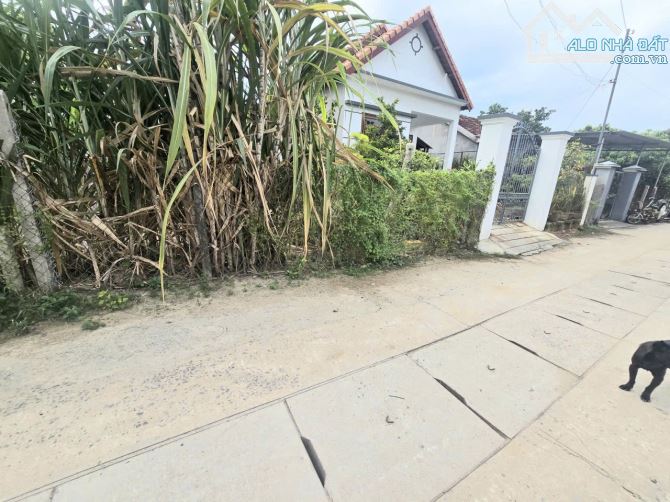 Bán đất trung tâm thị trấn Diên Khánh đường thông kết nối Đồng Khởi và Trần Quý Cáp - 1