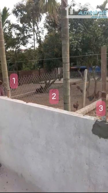 Bán đất Hưng Yên, cho nhà đầu tư nhỏ, 71m, đường ô tô tránh, 800tr thương lượng - 1