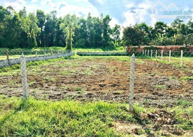 Cho thuê đất giá rẻ khu vực trảng bàng tây ninh - 1