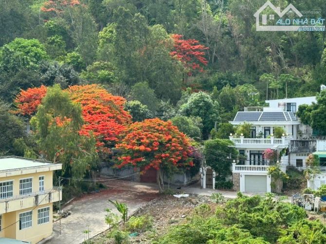 BÁN 777M2 ĐẤT VIEW BIỂN BÃI DÂU TRẦN PHÚ P5 VŨNG TÀU - CHỈ 45 TRIỆU/M2 SỔ HỒNG LÂU DÀI - 1