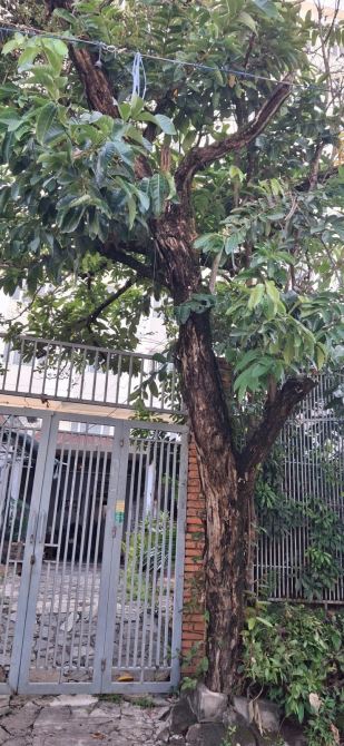 BÁN NHÀ LẠC LONG QUÂN HOÀ KHÁNH GẦN BIỂN NGUYỄN TẤT THÀNH - 1
