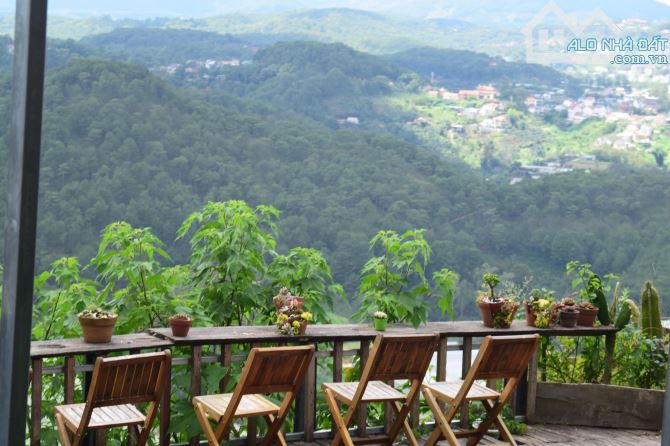 1.183M2 FULL XÂY DỰNG MẶT TIỀN LÊ VĂN TÁM - NGANG 50MET - CÓ GPXD 8 TẦNG VIEW RỪNG THÔNG - 1