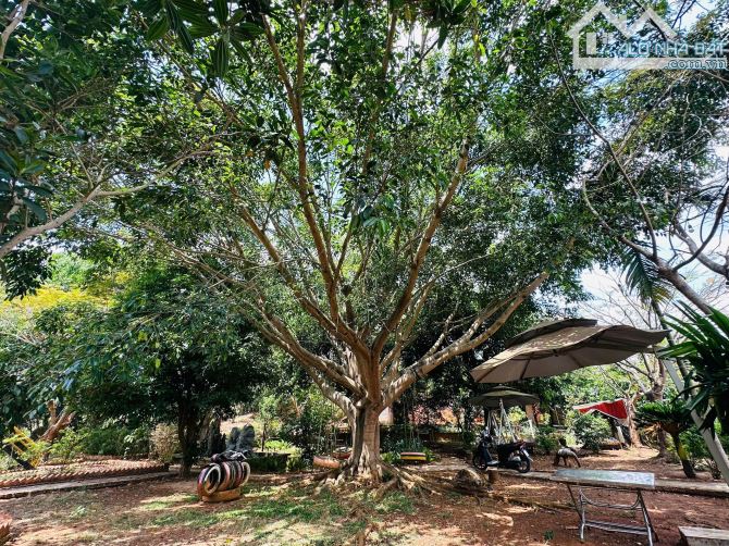 BÁN KHU NGHỈ DƯỠNG PHƯỜNG CAM LY ĐÀ LẠT - DIỆN TÍCH HƠN 9.000M2 TẶNG TOÀN BỘ HẠ TẦNG - 12