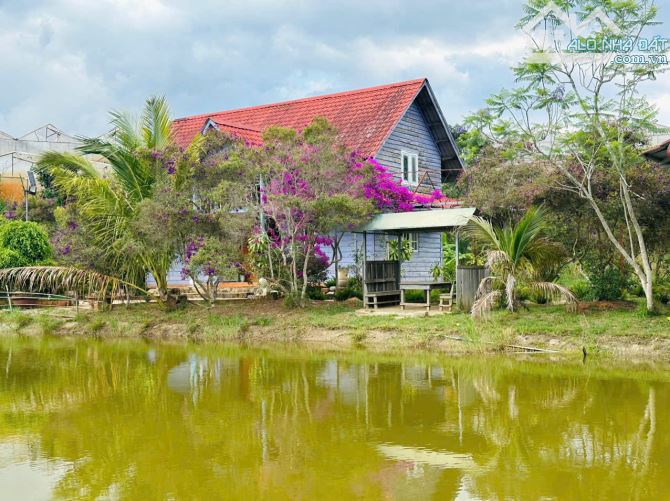 BÁN KHU NGHỈ DƯỠNG PHƯỜNG CAM LY ĐÀ LẠT - DIỆN TÍCH HƠN 9.000M2 TẶNG TOÀN BỘ HẠ TẦNG - 13
