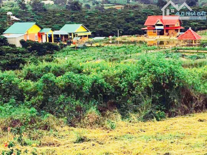 BÁN KHU NGHỈ DƯỠNG PHƯỜNG CAM LY ĐÀ LẠT - DIỆN TÍCH HƠN 9.000M2 TẶNG TOÀN BỘ HẠ TẦNG - 14