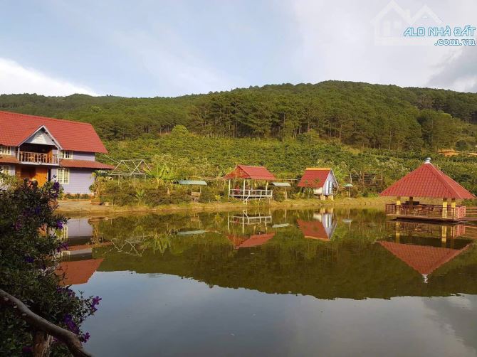 BÁN KHU NGHỈ DƯỠNG PHƯỜNG CAM LY ĐÀ LẠT - DIỆN TÍCH HƠN 9.000M2 TẶNG TOÀN BỘ HẠ TẦNG - 16