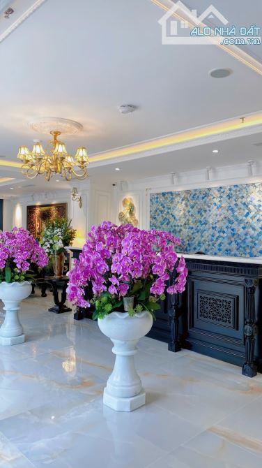 🎉🎉CHÀO BÁN DINH THỰ ĐẲNG CẤP – LÔ GÓC VÀNG TRUNG TÂM MỸ ĐA TÂY 3 – NGUYỄN LỮ ✨ - 17