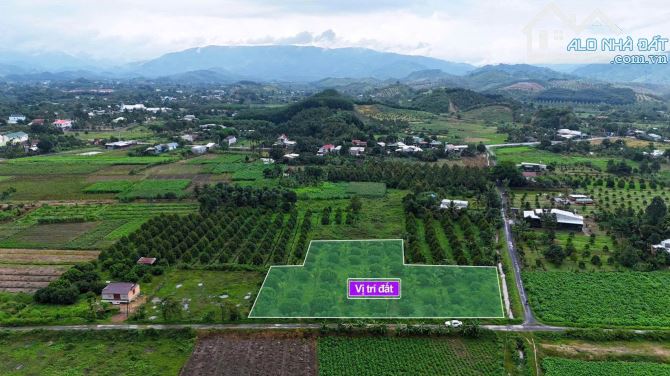 🎁 Đất vườn Chôm Chôm 210m2 có thổ cư giá chỉ 299tr - 2