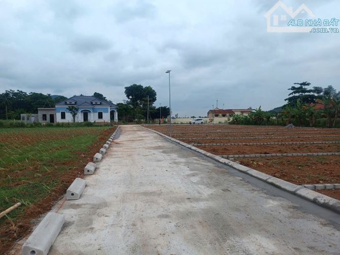 Bán đất trung tâm Thạch Quảng, bám trục đường mòn Hồ Chí Minh giá từ 220 triệu/lô - 2