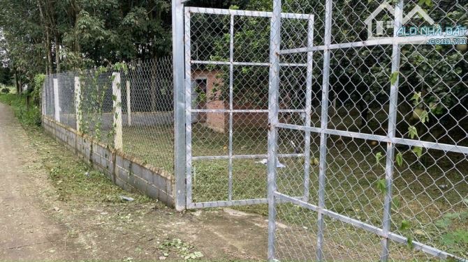 Giá 4,7 tỷ. Bán gấp 1000m2 vườn bưởi Bình Lợi (P. Tân Triều),Đồng Nai. 26x38m. Đường ô tô. - 2