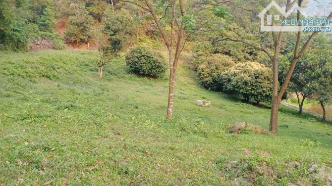 BÁN HƠN 4,5HA ĐẤT ĐẸP – VIEW TOÀN CẢNH HỒ ĐỒNG ĐÒ, SÓC SƠN, DÀNH CHO NHÀ ĐẦU TƯ CÓ TẦM - 2