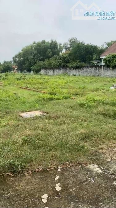 Ngộp ngân hàng – Bán gấp đất vàng trung tâm Củ Chi 3.515m2 (31x96) full thổ - 22 tỷ - 2