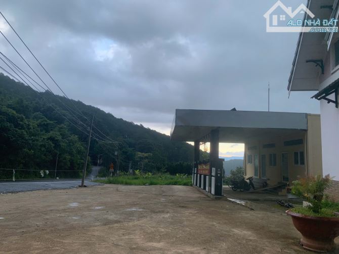 2.122m2 ĐẤT MẶT TIỀN MIMOSA- THÍCH HỢP LÀM KHU DU LỊCH, TRẠM DỪNG CHÂN, KINH DOANH ĐA NGHỀ - 2