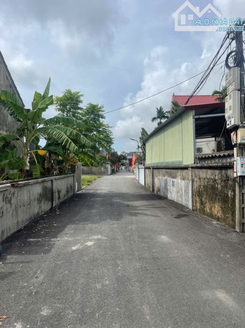 E có lô đất Phong Cầu, Đại Đồng, Kiến Thụy, Hải Phòng 76m. - 2