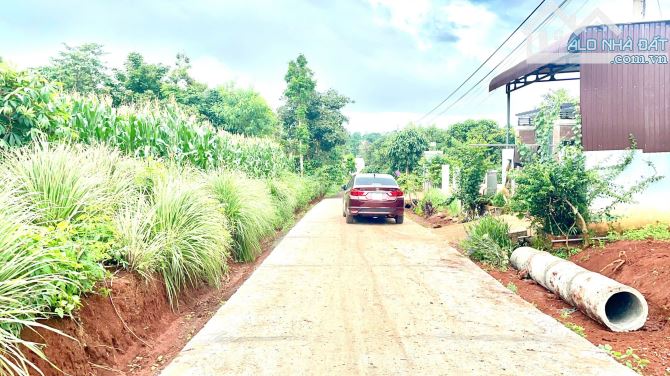 Cư Suê gần uỷ ban ngay quán cf Tân Linh đi vào - 2
