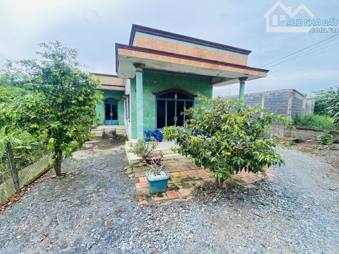 Đất Lúa _dt 942 m2 MT đường 833B, xã Long Hiệp, Bến Lức LA, SHR - giá 12 tỷ - 2