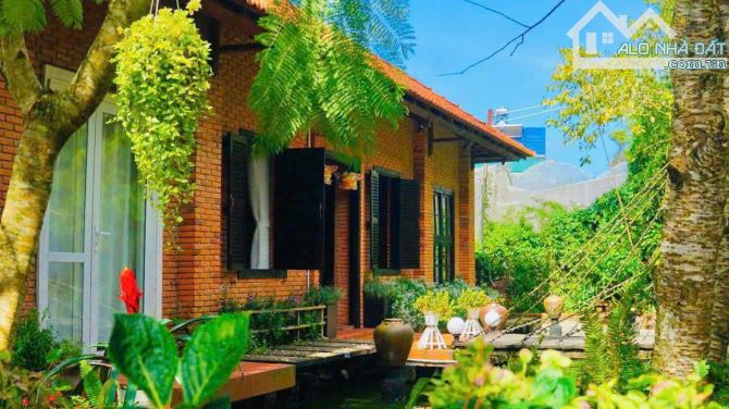 HOMESTAY SÂN VƯỜN RỘNG 2.000M2 - VIEW THUNG LŨNG VỚI 14 PHÒNG KINH DOANH - CÓ THỂ MỞ CAFE - 2