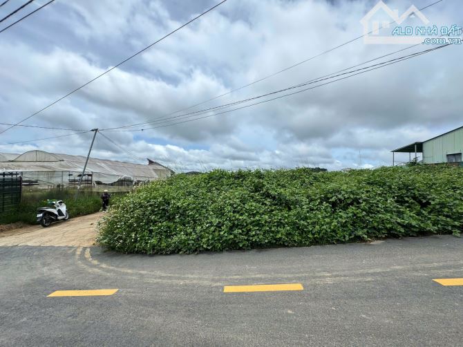 ✨🏡 ĐẤT 2 MẶT TIỀN ĐẸP – Ngang 17.07m –  Dài 15.9m ✨ - 2