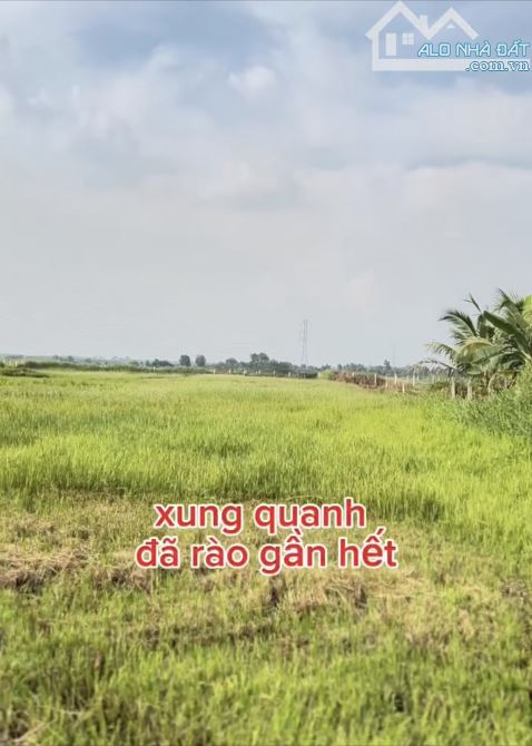 Bán đất An Tây 3.700m2 gần sông Sài Gòn cực đẹp giá tốt - 2