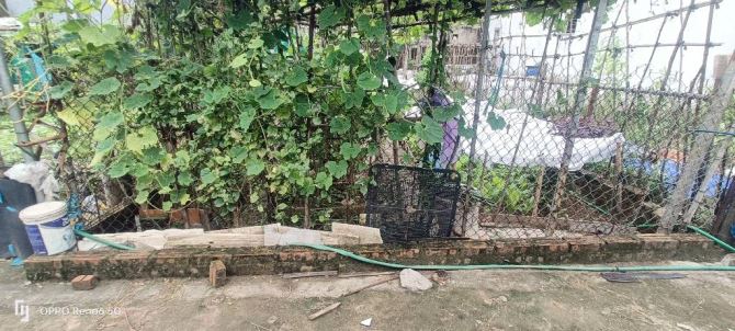 70m ĐẤT NHỈNH 4 TỶ; RỘNG - ĐẸP - RẺ -Ô TÔ ĐỖ CỬA - SÁT VIN - 2