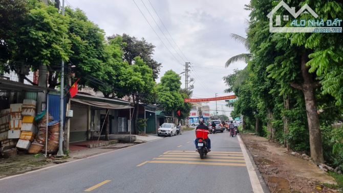 Đất 150m2 ngang 6m mặt đường An Kim Hải, An Dương, HP - 2