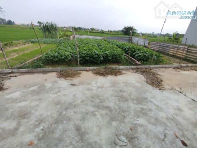 Bán 80m Đất-Mai Nội -Mai Đình-Sóc Sơn-Ô Tô Tránh- Kinh Doanh - 2