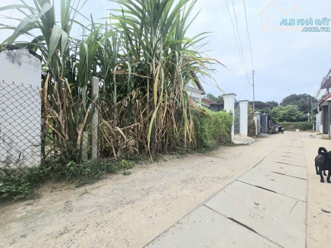 Bán đất trung tâm thị trấn Diên Khánh đường thông kết nối Đồng Khởi và Trần Quý Cáp - 2