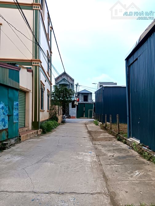 56m siêu phẩm đường thông giá rẻ 👉 tự nhiên - thường Tín - 2