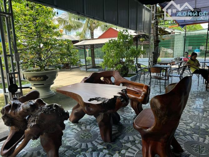 Cần bán đất mặt tiền đường Trần Văn Chẩm xã Tân Thông Hội 43x27 tổng 1200m 144m thổ - 6