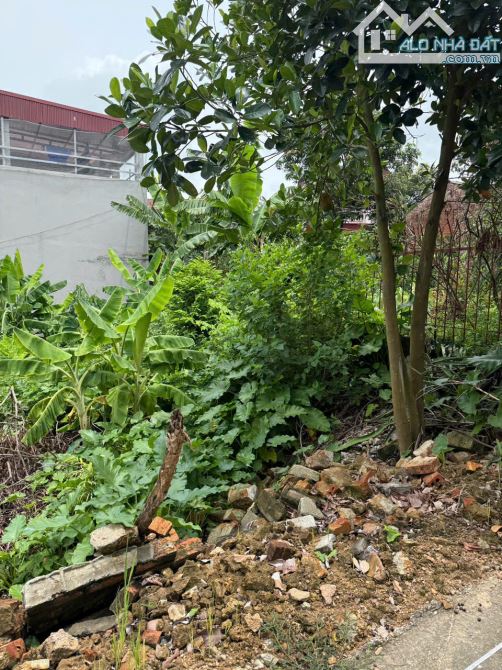 Bán Lô Đất đồng Việt, Yên Dũng, Bắc Giang. 93m2- Mặt Tiền 5,7m. đường 5m. Giá 680 triệu. - 3
