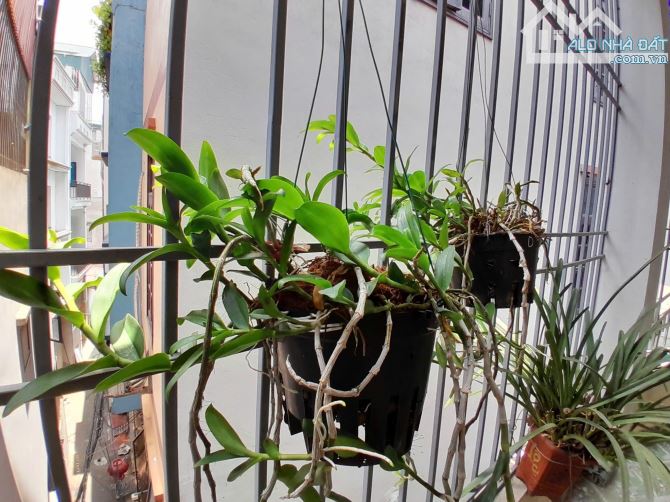 Bán nhà Đa sĩ Lô góc, mới đẹp, ô tô đỗ gần cạnh khu Đấu Giá - 3