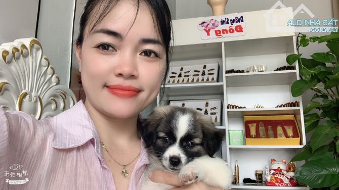 Bán Đất – Phú Cường (Minh Phú – Sóc Sơn ) – 123m² – 3 Tỷ – Trục Chính Thôn –3 Ô Tô Tránh - - 3