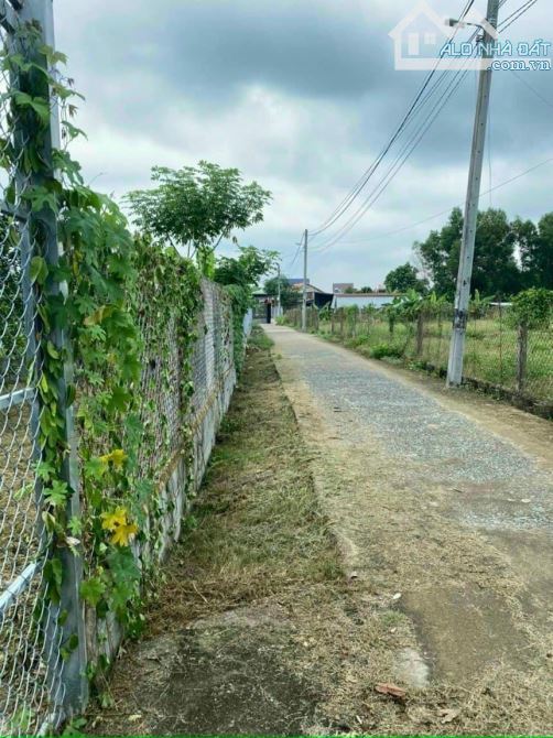 Giá 4,7 tỷ. Bán gấp 1000m2 vườn bưởi Bình Lợi (P. Tân Triều),Đồng Nai. 26x38m. Đường ô tô. - 3