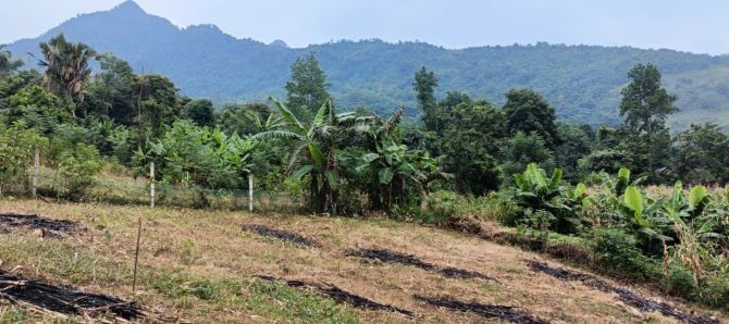 Bán đất Ba Vì, Hà Nội, gần đền Trung, 3514m, oto, thế đất cao, view toàn cảnh, 5.6tỷ - 3