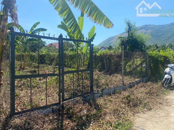 Bán đất đường Liên Thôn rộng 5m - xã Diên Khánh ( Diên Toàn cũ ) - giá 2.1 tỷ - 3