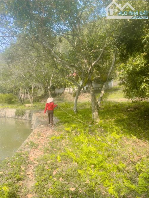 BÁN HƠN 4,5HA ĐẤT ĐẸP – VIEW TOÀN CẢNH HỒ ĐỒNG ĐÒ, SÓC SƠN, DÀNH CHO NHÀ ĐẦU TƯ CÓ TẦM - 3