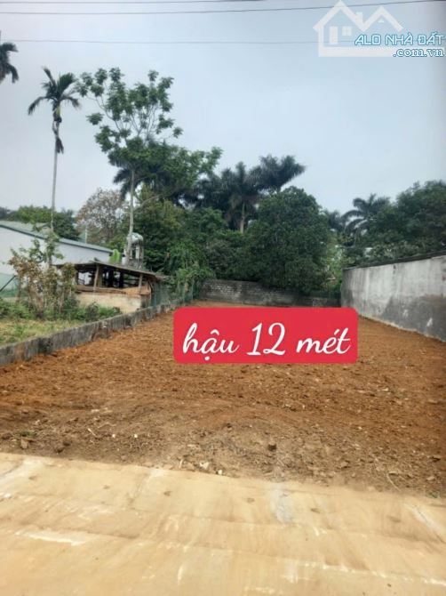 Cần Bán Đất Yên Bài, DT 372m2-100m2 đất ở Khu Vực Tiềm Năng Giá Chỉ 2,9 Tỷ - 3