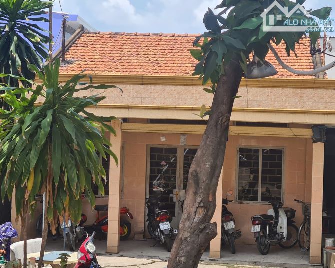 Bán 516m2 Mặt Tiền Lê Đình Cẩn, Bình Tân – 516m², Nở Hậu, Tiện Xây Building/CHDV – Chỉ 35T - 3