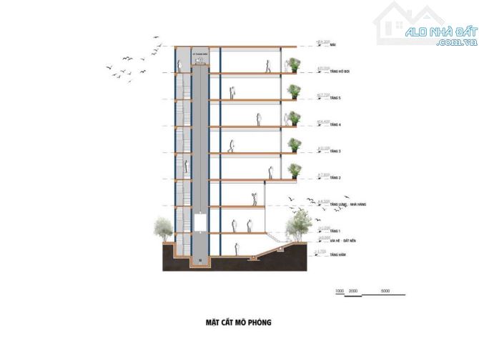 💥 TUYỆT PHẨM ĐẤT 2 MẶT TIỀN LÊ BÔI – 168M² – 21 TỶ – TẶNG GPXD 7 TẦNG + HẦM 💥 - 3