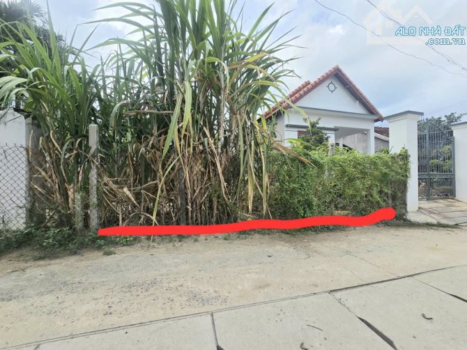 Bán đất trung tâm thị trấn Diên Khánh đường thông kết nối Đồng Khởi và Trần Quý Cáp - 3