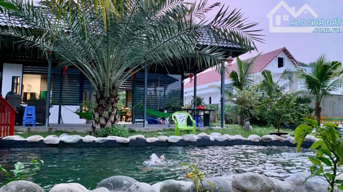 Bán biệt thự sân vườn gần 900m2, KDC Biconsi, Đà lạt 2, Tân Đông Hiệp, Dĩ An chỉ 15tỷ - 1