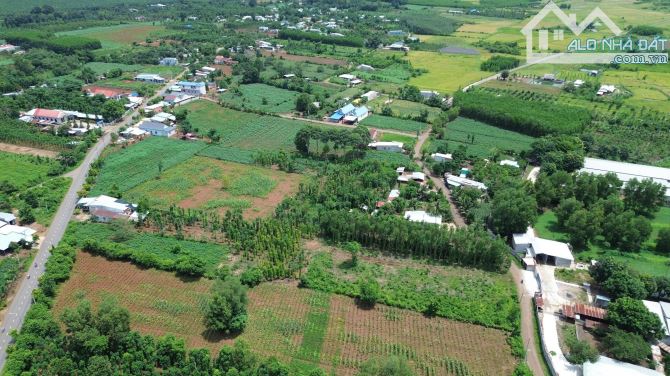 Lô đất đẹp giá đầu tư, 2435m² ngay ngã 6 cây me đá bạc - 3
