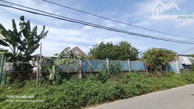 Bán nhà góc 2 mặt tiền đường Nguyễn Thị Se xã Tân Thông Hội Củ Chi TPHCM, DT: 1213m2. - 4