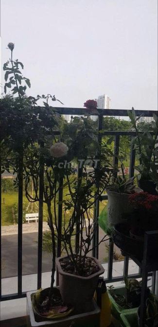 CẦN SHARE LẠI 1 PHÒNG TRONG CĂN HỘ 2PN TẠI VÕ CHÍ CÔNG , PHƯỜNG THẠNH MỸ LỢI (Quận 2 cũ) - 4