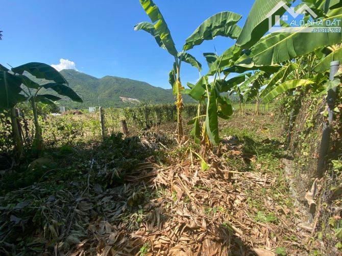 Bán đất đường Liên Thôn rộng 5m - xã Diên Khánh ( Diên Toàn cũ ) - giá 2.1 tỷ - 4