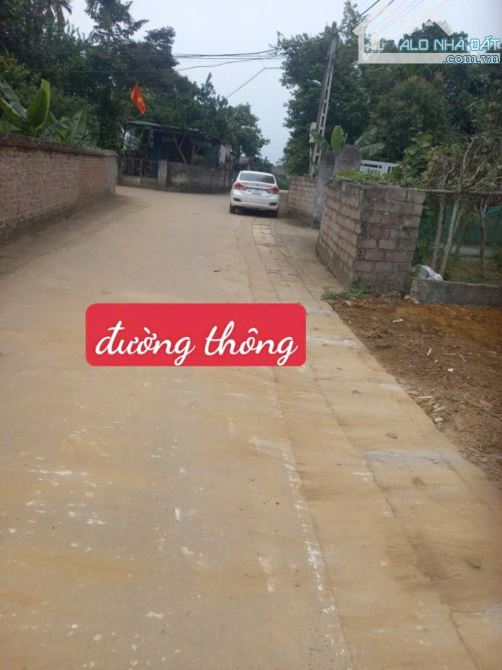 Cần Bán Đất Yên Bài, DT 372m2-100m2 đất ở Khu Vực Tiềm Năng Giá Chỉ 2,9 Tỷ - 4