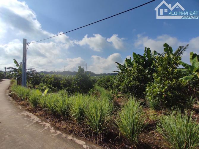 Bán đất Thống Nhất, gần Dầu Giây, đường bê tông giá rẻ (D056) - 4
