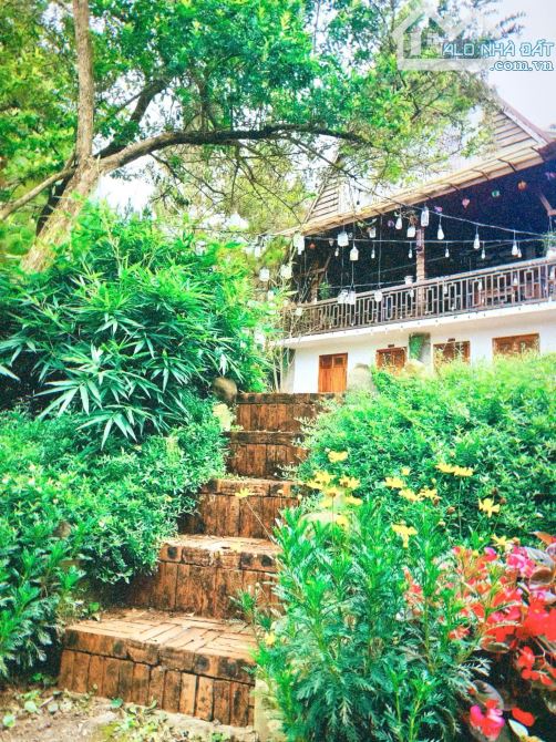 HOMESTAY SÂN VƯỜN RỘNG 2.000M2 - VIEW THUNG LŨNG VỚI 14 PHÒNG KINH DOANH - CÓ THỂ MỞ CAFE - 4